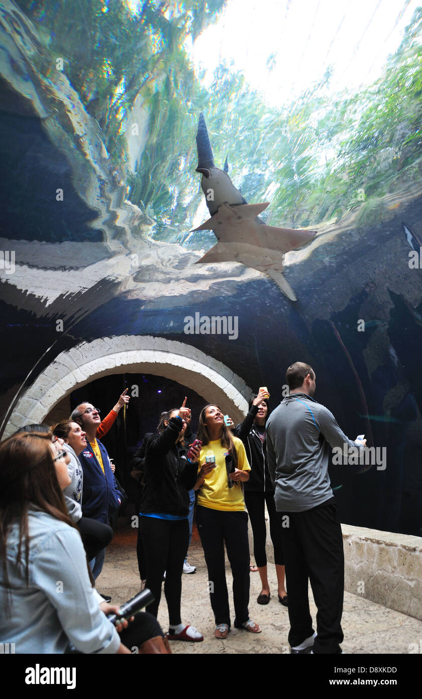 Dallas Aquarium, Texas, USA Stock Photo Alamy