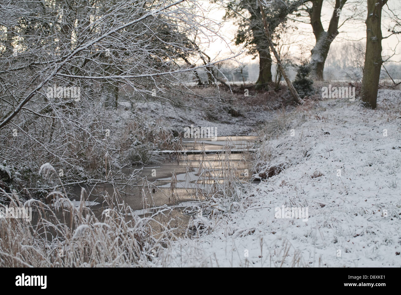 Frozen drainage dyke. Broadland. Norfolk. Winter. Stock Photo