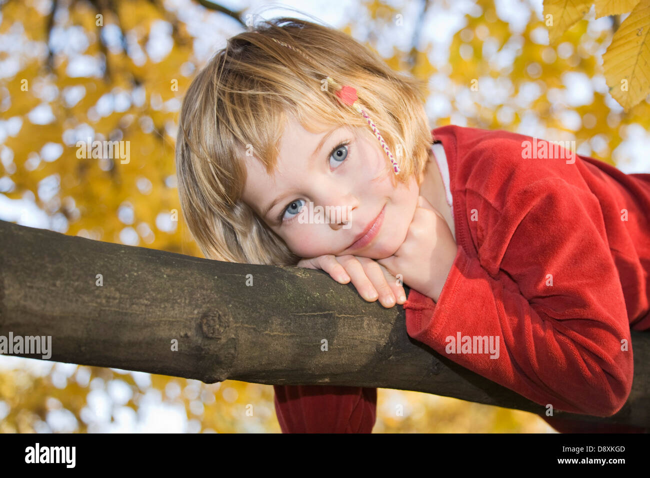 Five year-old girl lie on her stomach on a branch on a tree Stock Photo