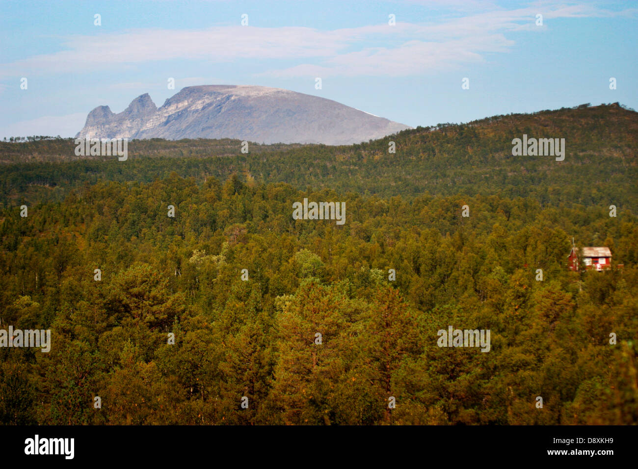 House in forest hi-res stock photography and images - Alamy