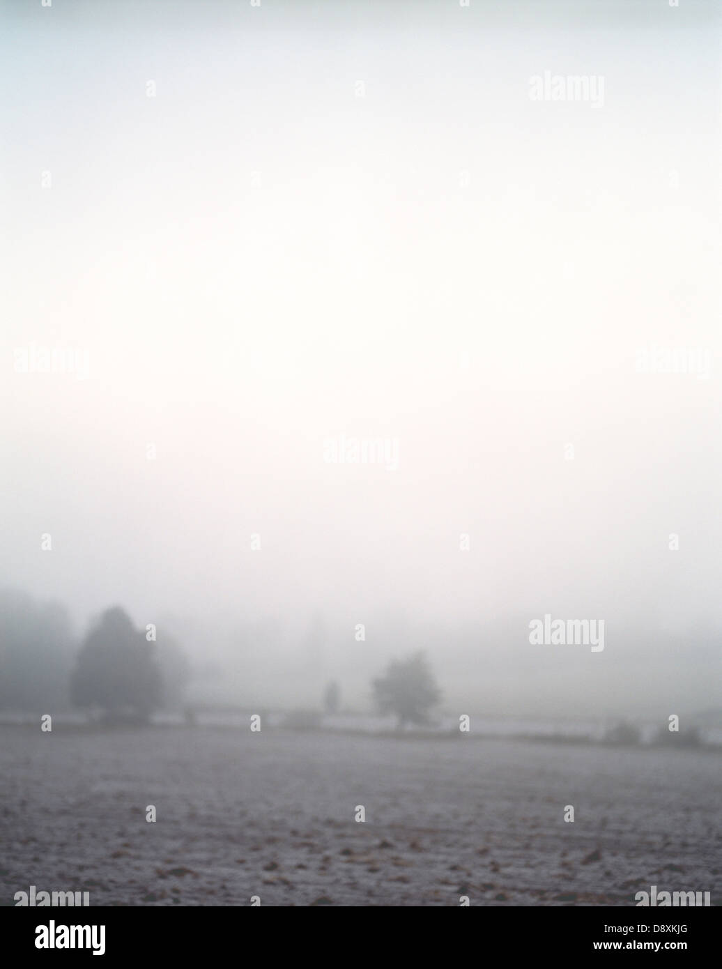 Black and white landscape with fog hi-res stock photography and images ...