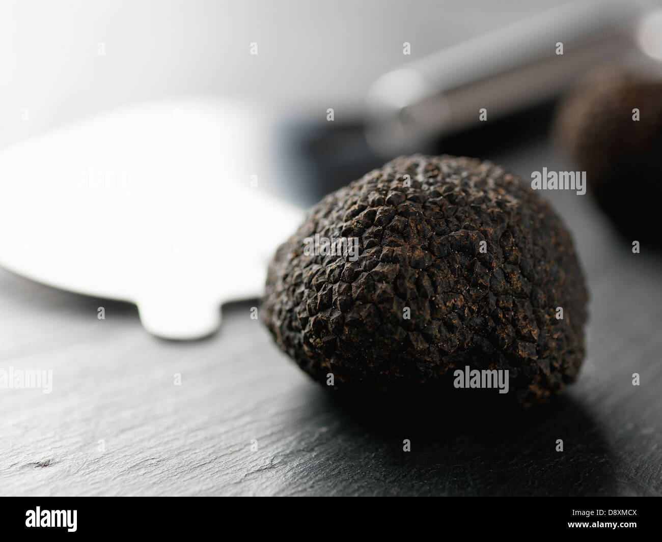 Black truffle Stock Photo