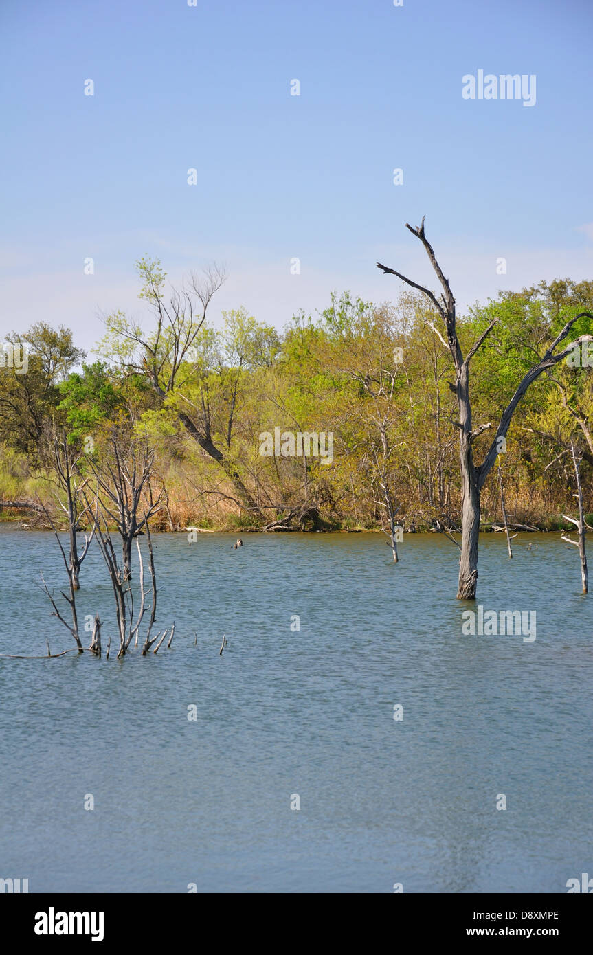 Lake Buchanan, Texas, USA Stock Photo Alamy