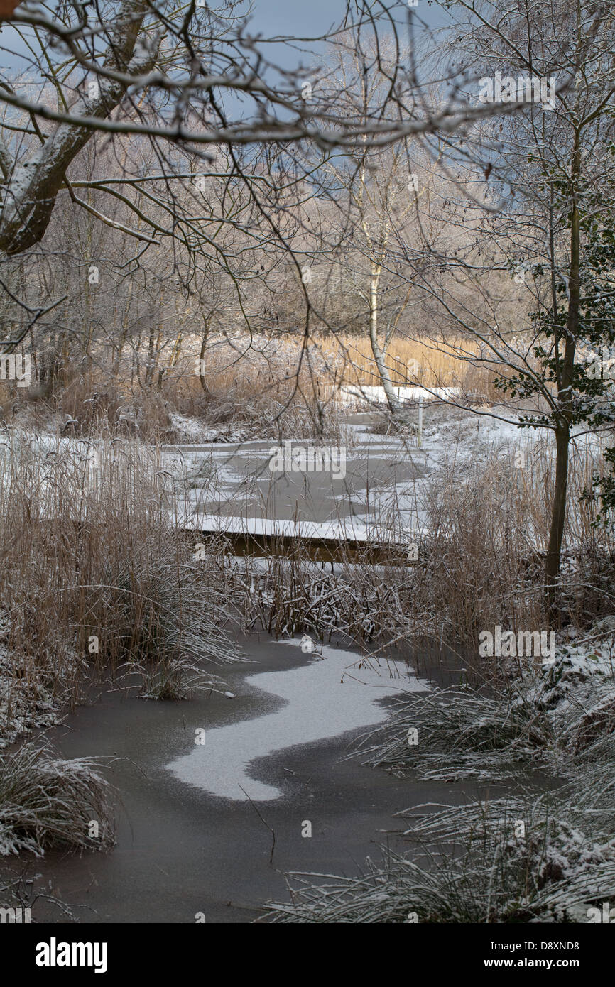 Frozen Dyke. Broadland. Ingham. Norfolk. Winter. Stock Photo