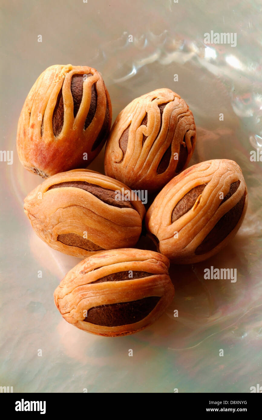 Nutmegs and mace Stock Photo Alamy