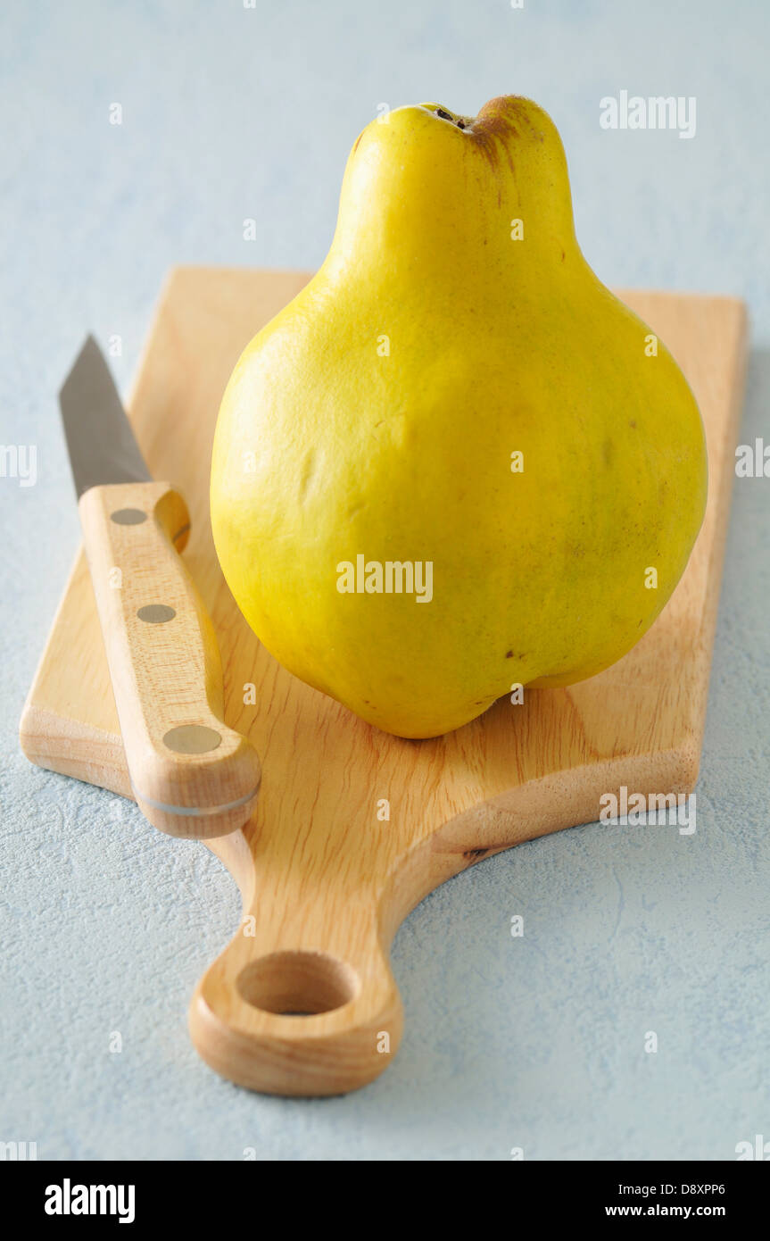 Whole quince on a cutting board Stock Photo