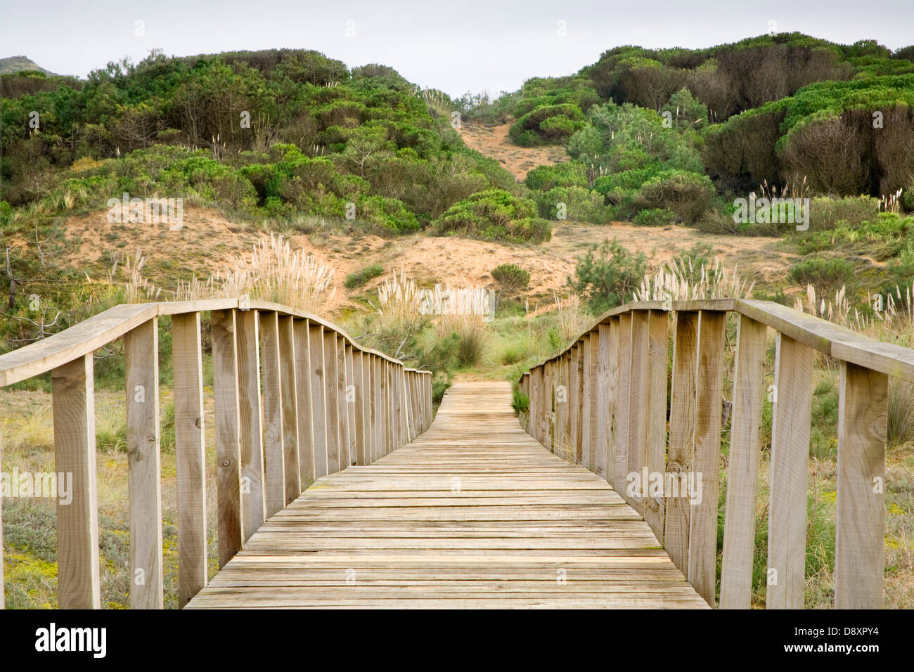 wooden footbridge in sand dunes. Dunas de Liencres Natural Park. Cantabria. Spain Stock Photo