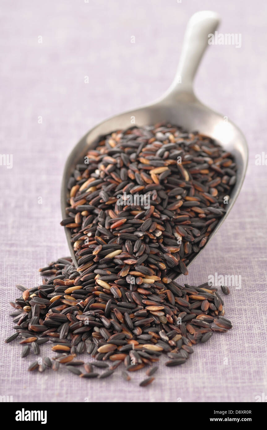 Scoopful of black rice Stock Photo - Alamy