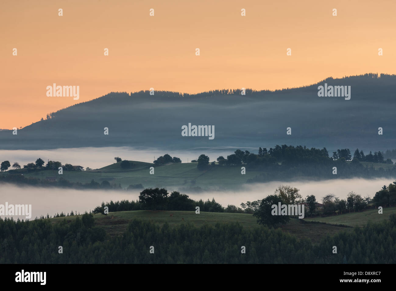 A foggy mountain landscape, Carranza, Bizkaia, Spain Stock Photo