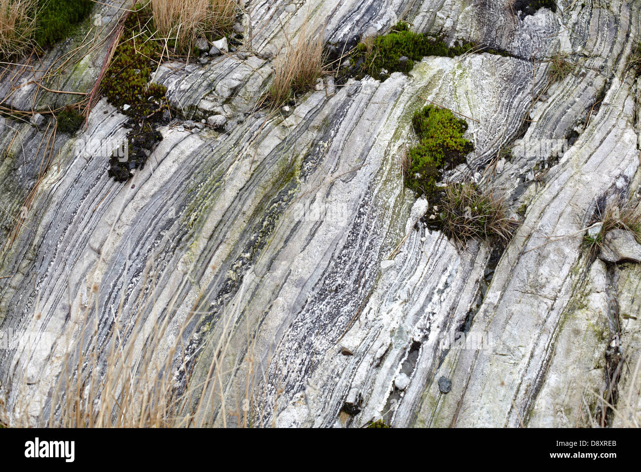 Forestry at Polloch and Loch Shiel. Rock layer formations Stock Photo