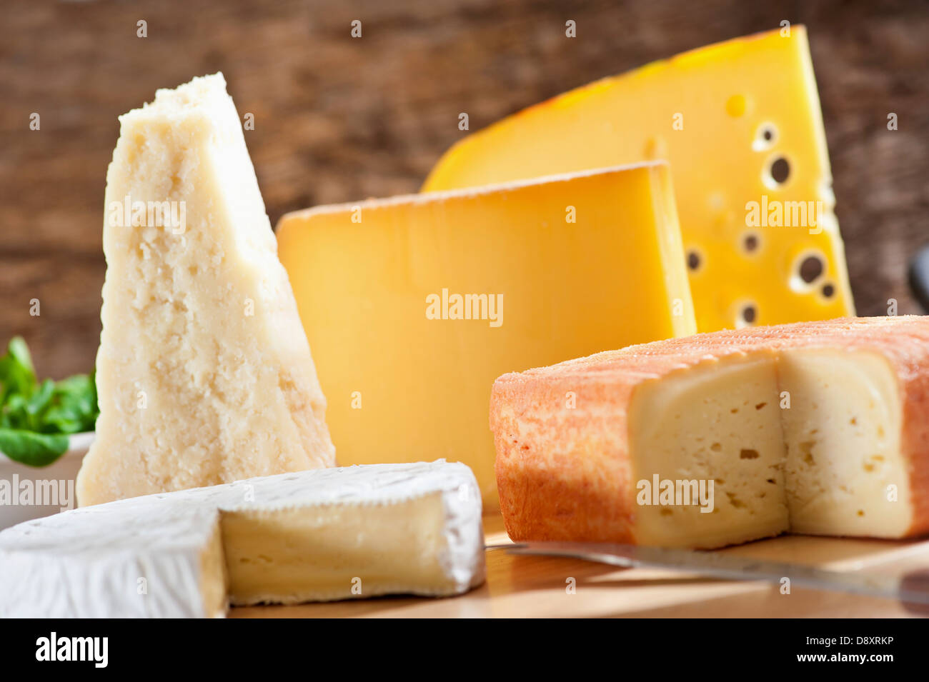Selection of cheeses Stock Photo