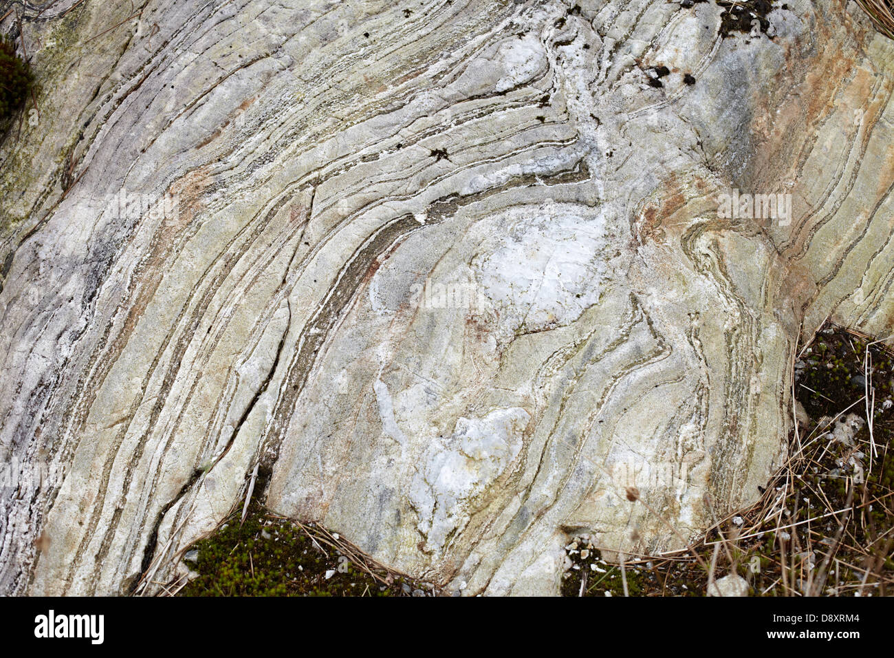 Forestry at Polloch and Loch Shiel. Rock layer formations Stock Photo