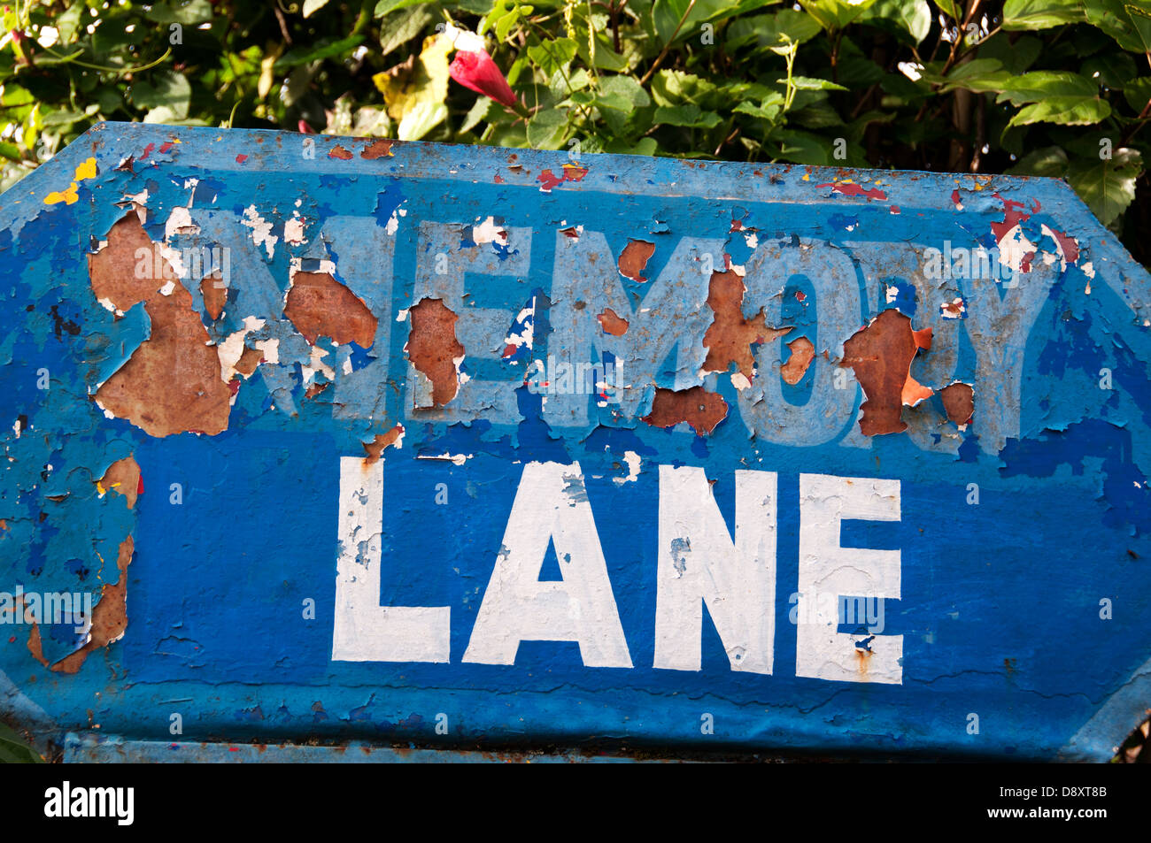 Cameroon, north west, May 2013. Kumba. Sign for Memory Lane. Stock Photo