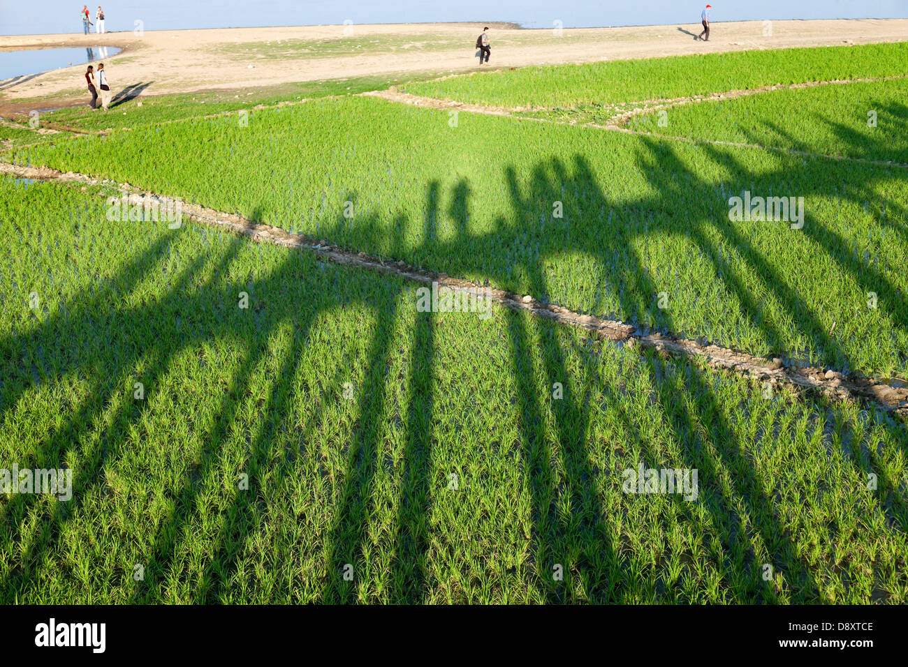 Shadow of the U Bein Teak Bridge across Taungthaman Lake, Myanmar 3 Stock Photo