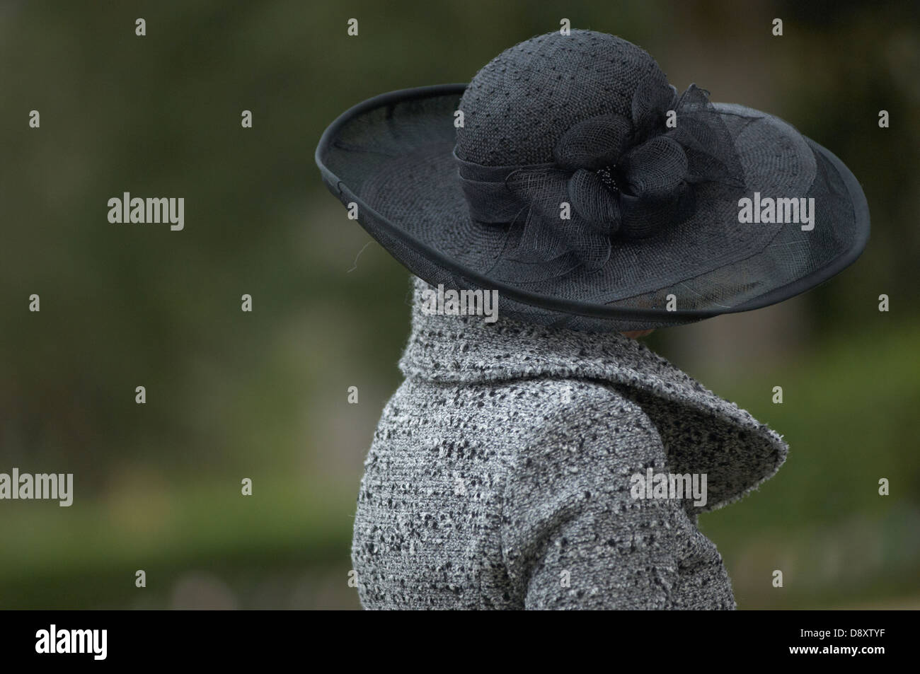 Wedding guest hat hi-res stock photography and images - Alamy