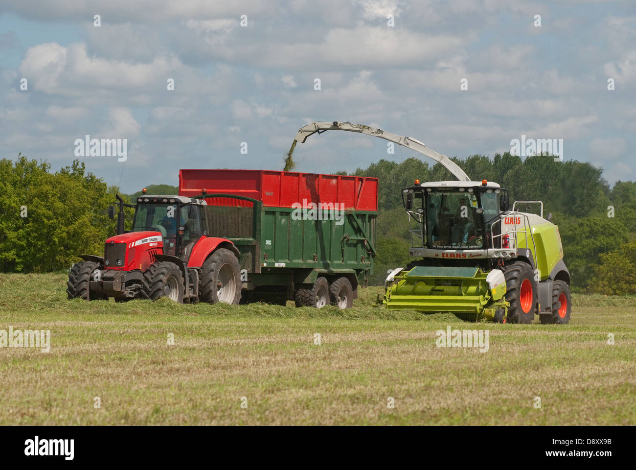 Harvesting grass for silage making for cattle feed Stock Photo