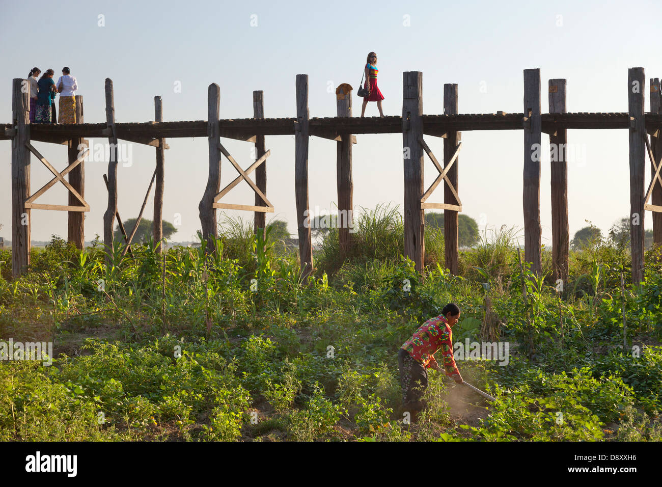 Well-dressed woman Crossing U Bein Teak Bridge across Taungthaman Lake ...