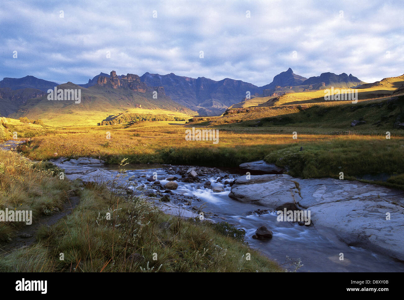Drakensberg Garden, KwaZulu Natal, South Africa Stock Photo - Alamy