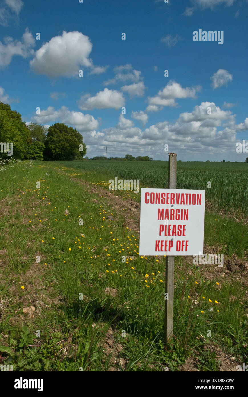Sign denoting Conservation area surrounding growing wheat field Stock Photo