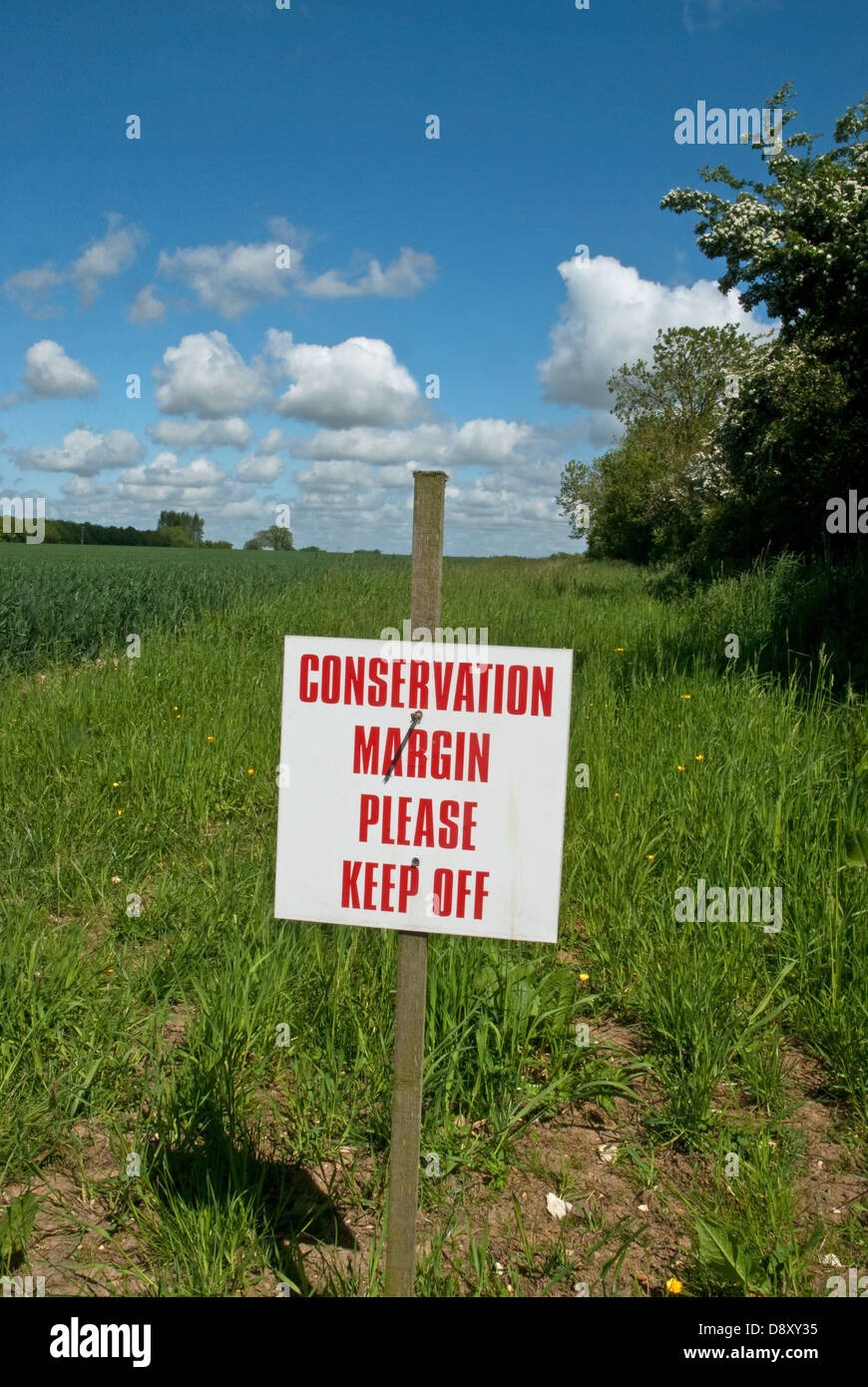 Sign denoting Conservation area surrounding growing wheat field Stock ...