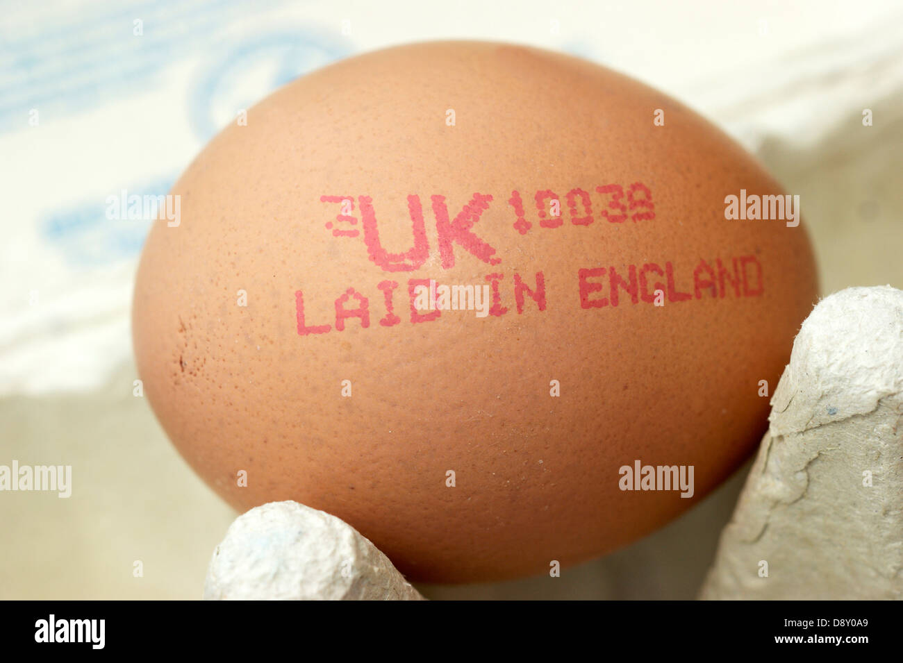 Free range egg laid in England Stock Photo