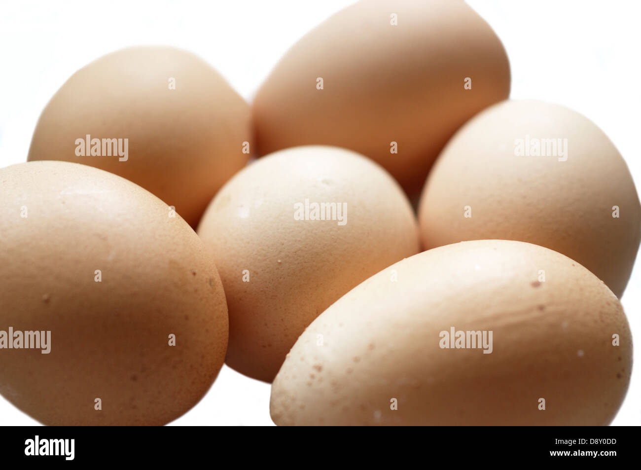 Organic eggs on a white background Stock Photo - Alamy