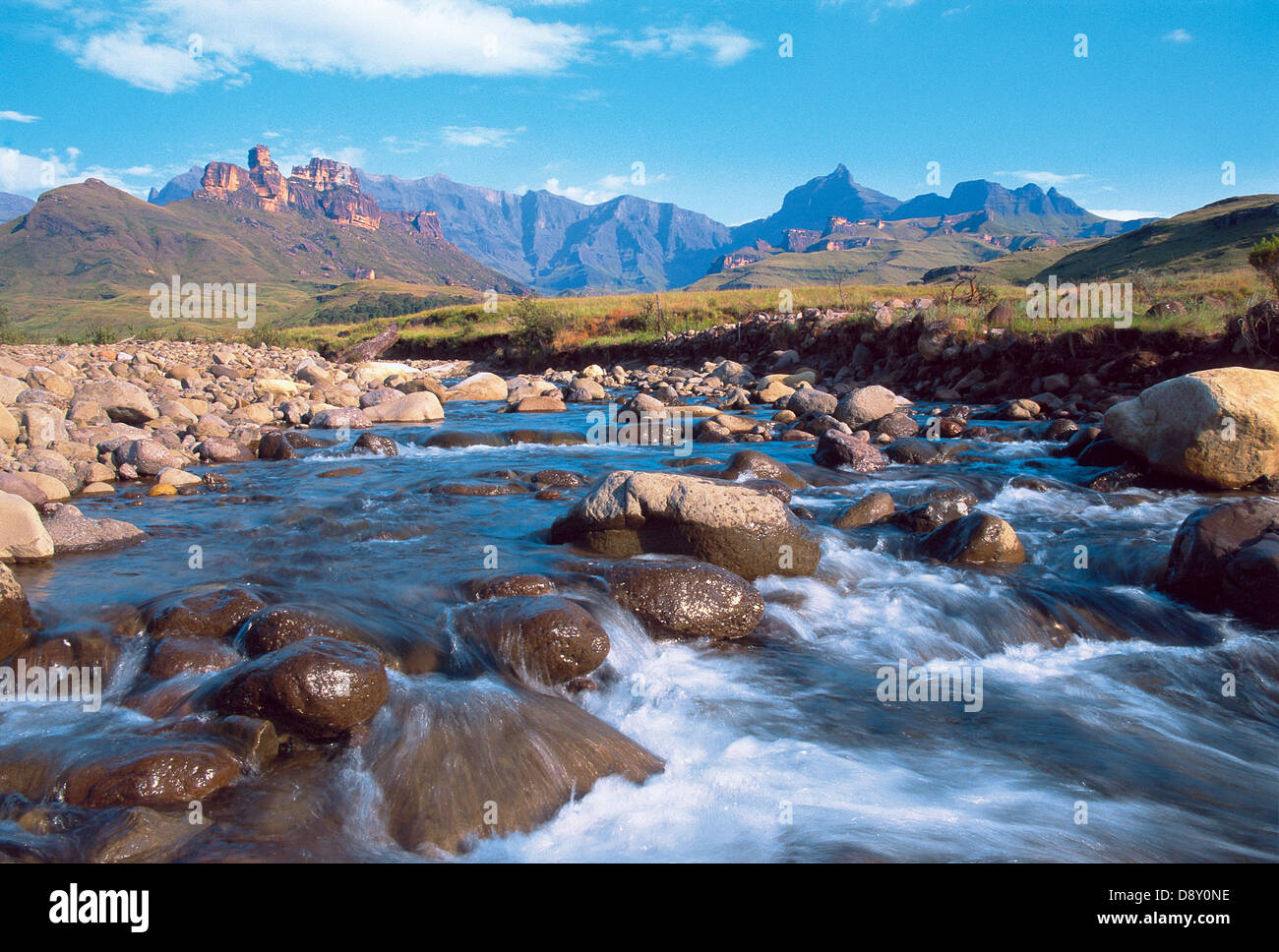 Drakensberg Garden, KwaZulu Natal, South Africa Stock Photo - Alamy