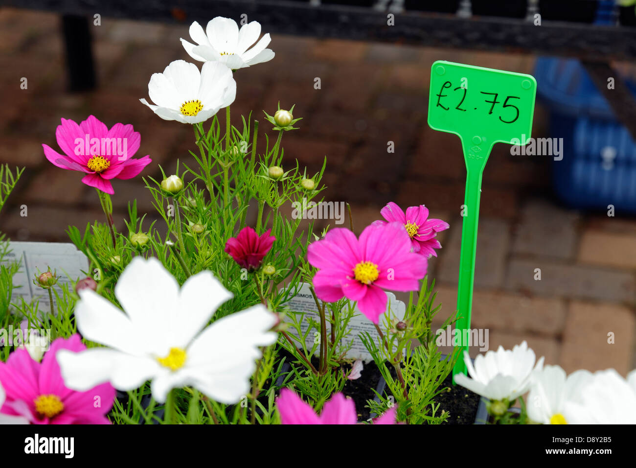 Spring june britain uk hires stock photography and images Alamy