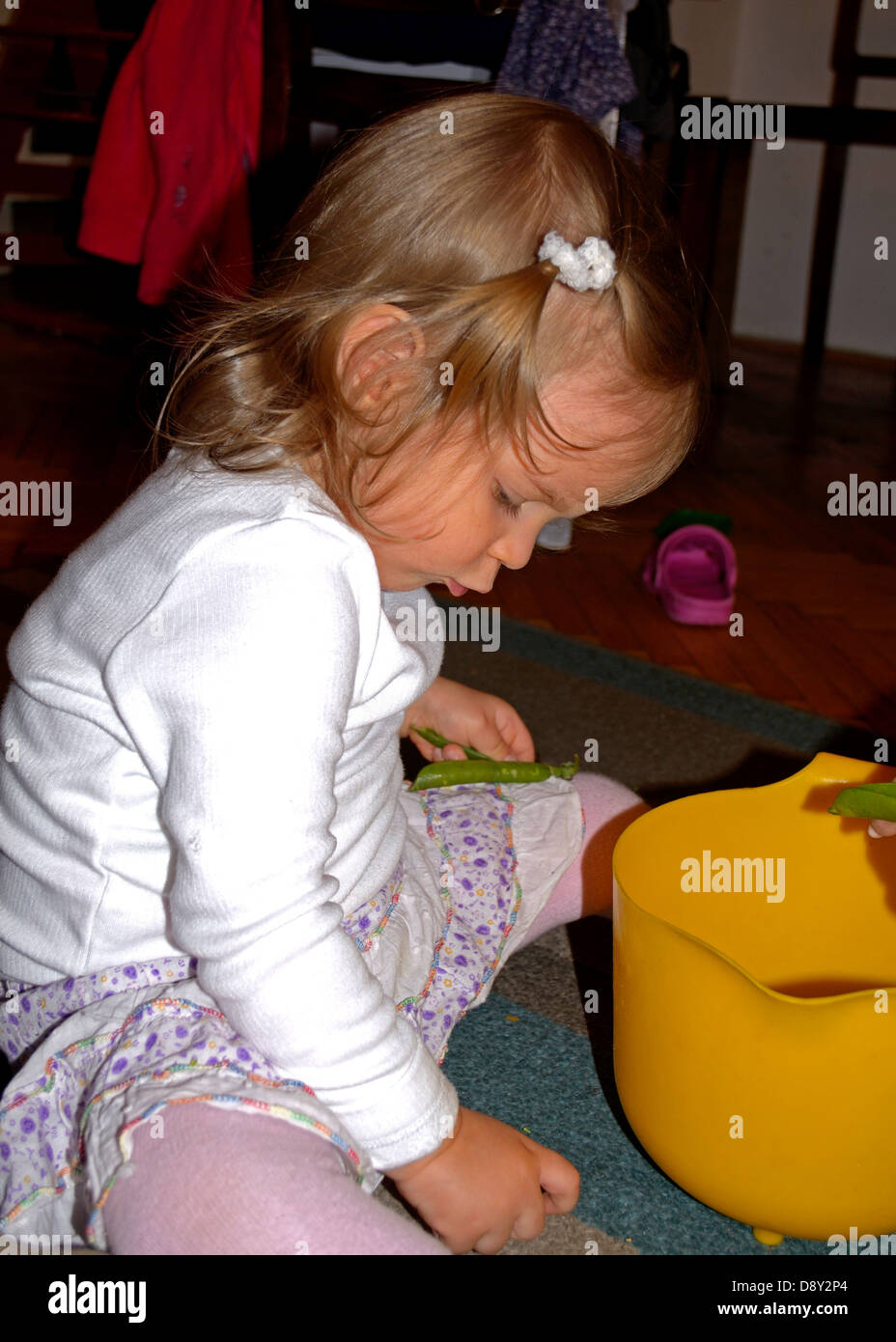 2 year old little girl shelling peas at home Stock Photo
