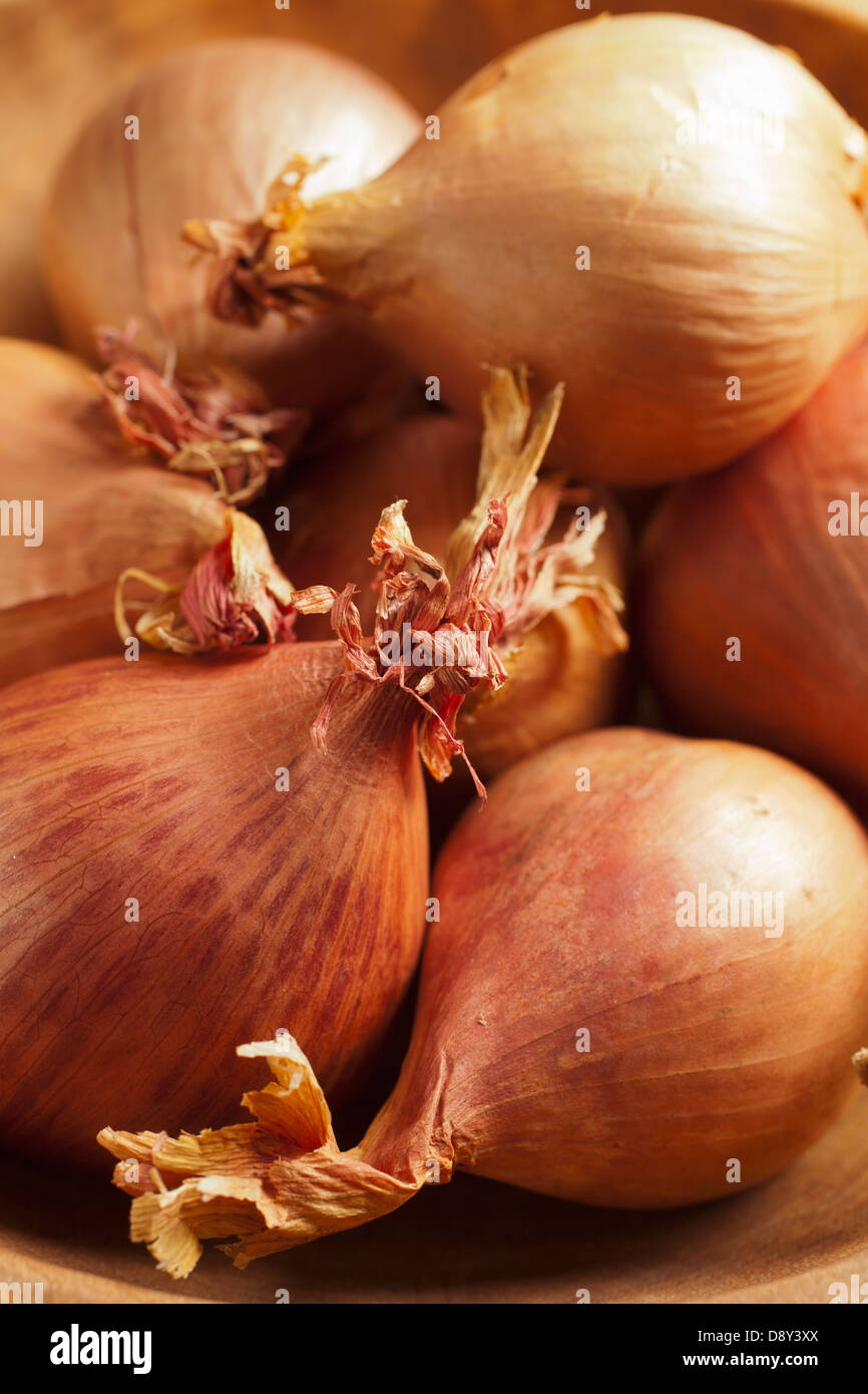 Shallots, a classic ingredient Stock Photo