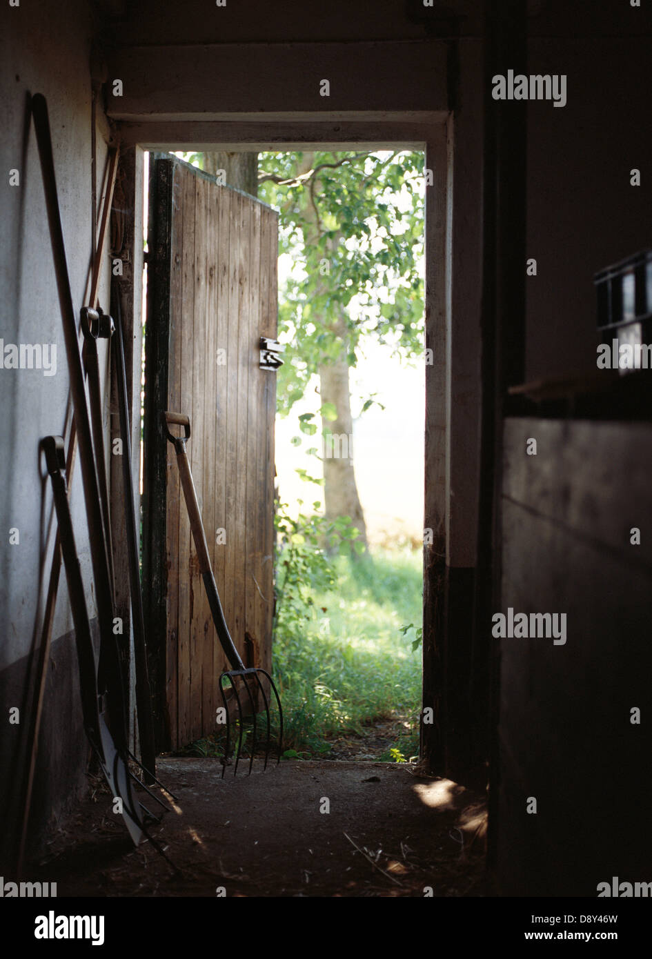 Tools in a shed Stock Photo - Alamy