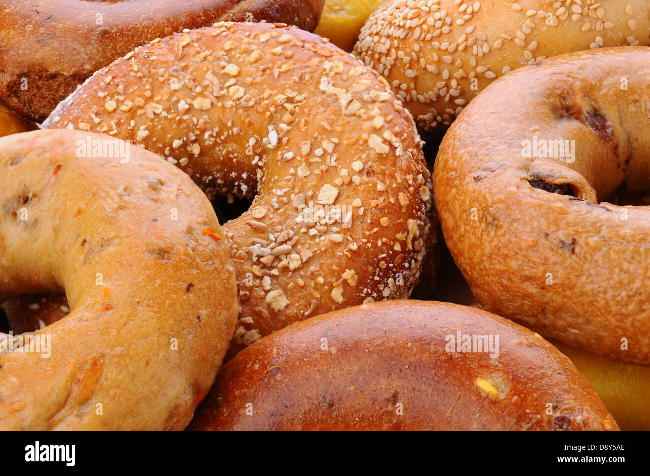 Closeup of assorted bagels, including sesame seed, egg bagel, mulit-grain, cinnamon raisin and plain. Stock Photo