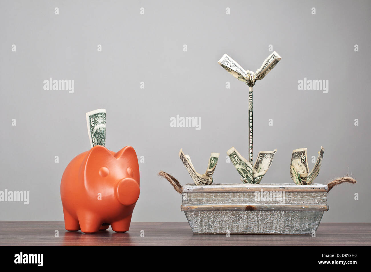 Savings concept piggy bank and moneytree with dollar notes Stock