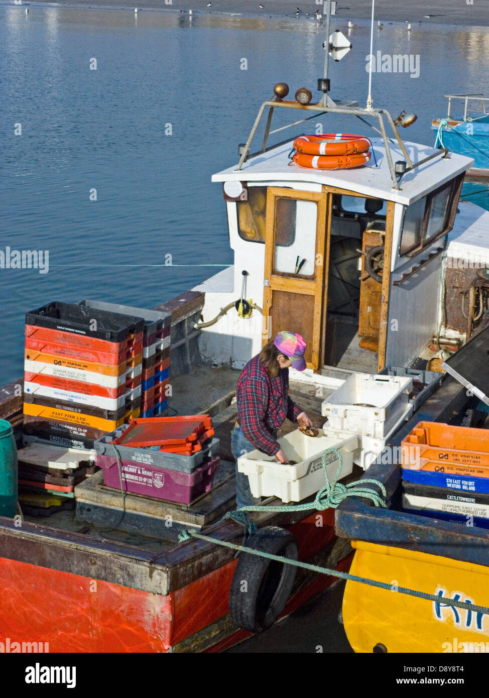 A crab fisherman sorts out his catch at the tiny harbour of Loughshinny