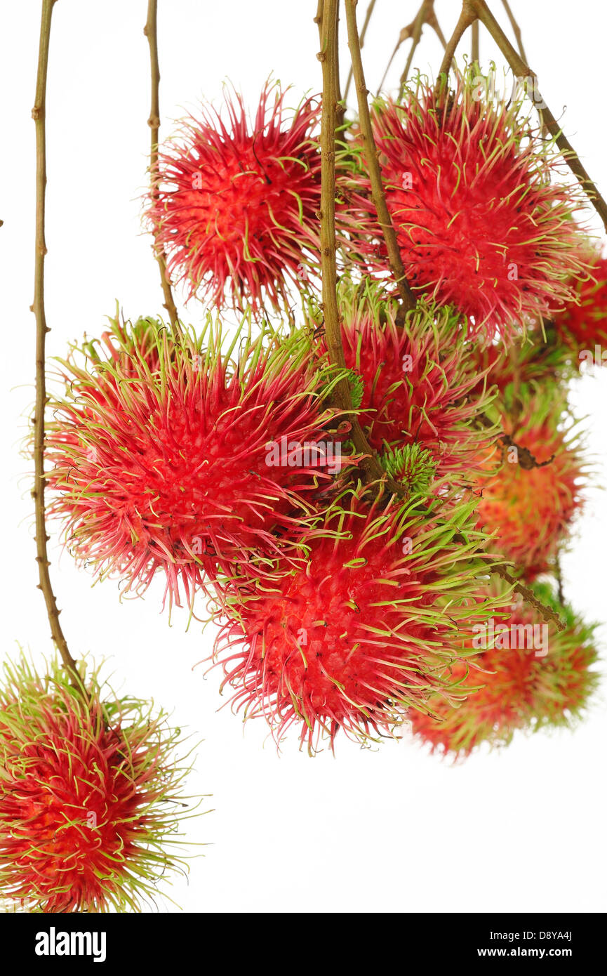 Rambutan Fruits High Resolution Stock Photography and Images - Alamy