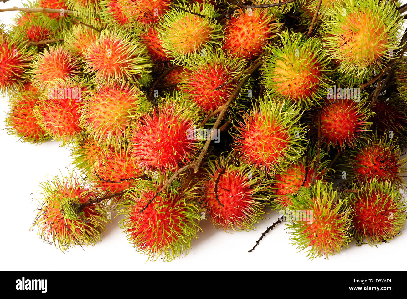 Rambutan fruits on white background Stock Photo - Alamy