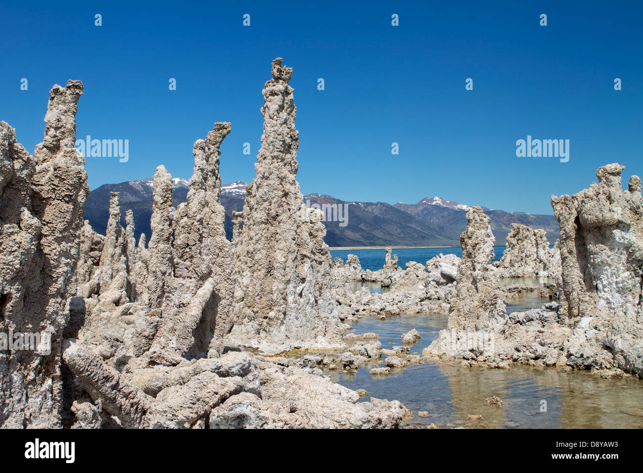 Tufa towers (calcium carbonate--limestone) at Mono Lake in the Sierra Nevada, California; USA Stock Photo