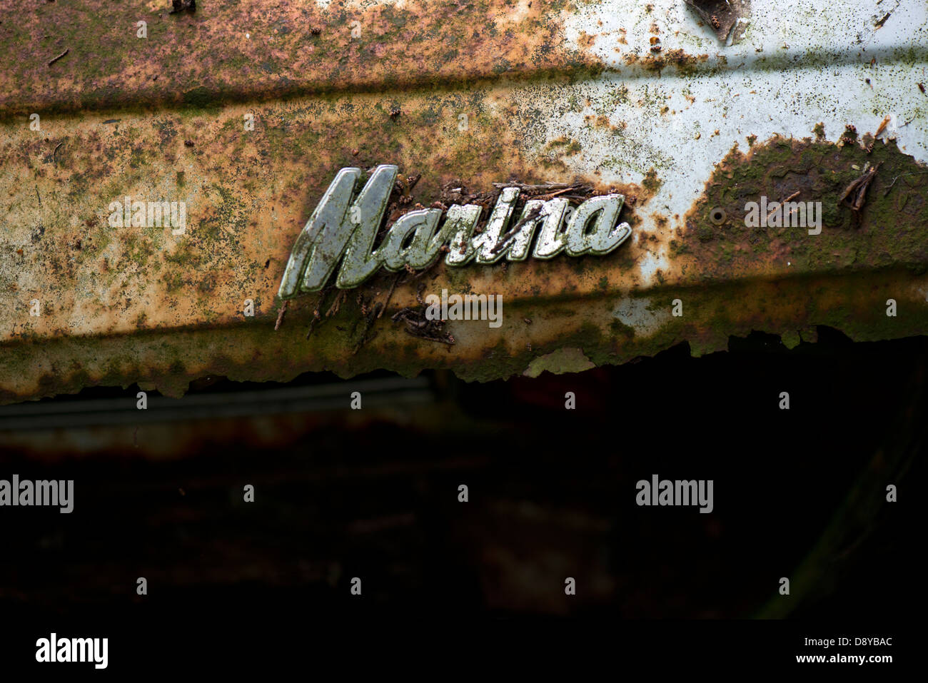 An image of an abandoned Morris Marina car left to rust and rot in a woodland Stock Photo