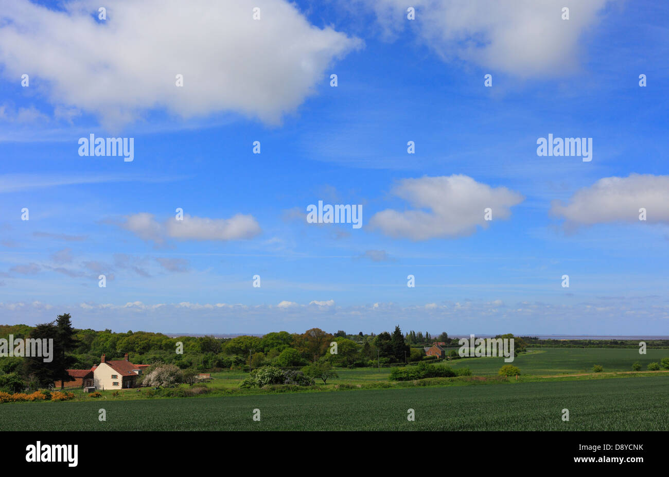 View across farmland to The Wash at Snettisham, Norfolk, England, UK. Stock Photo