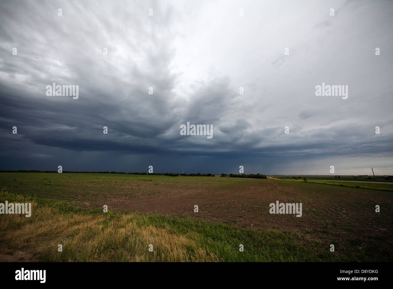 Mesoscale outflow boundary area thunderstorm moving over field. Stock Photo
