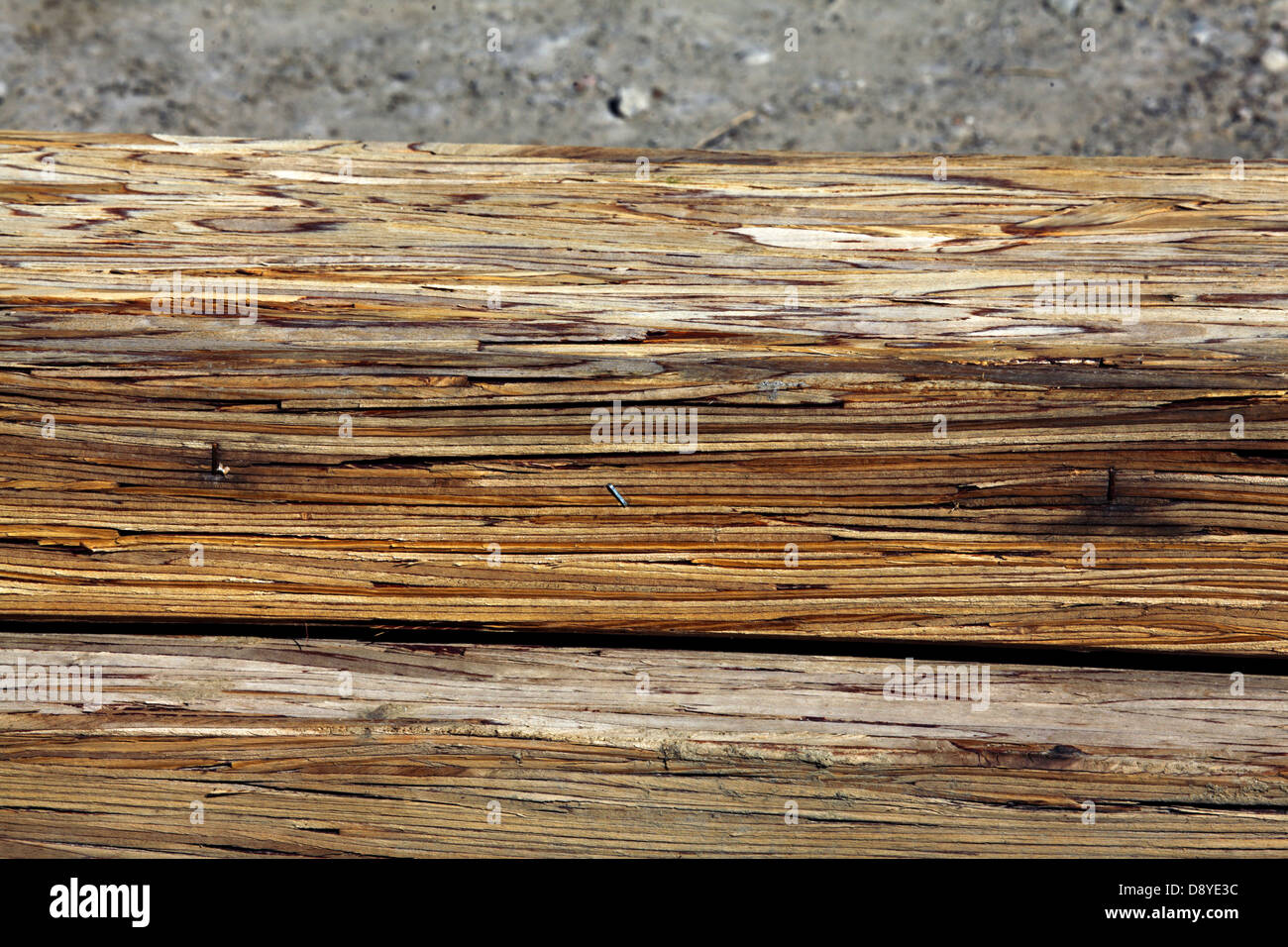 Composite wood beams, detail from side showing cross-section. Stock Photo