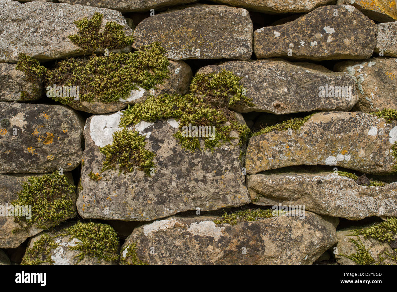 Cotswolds dry stone wall hires stock photography and images Alamy