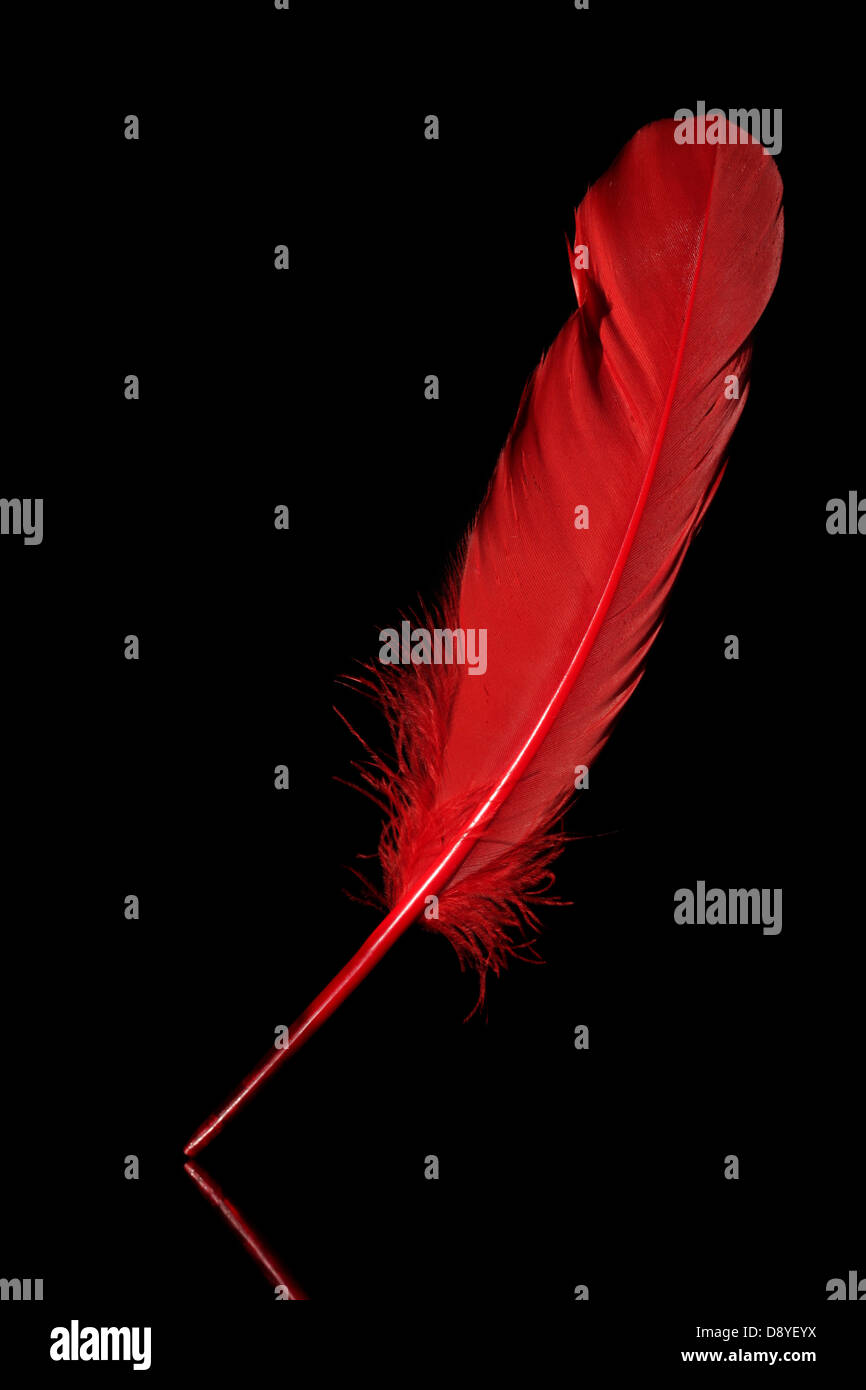 539,230 Red Feather Background Images, Stock Photos, 3D objects, & Vectors