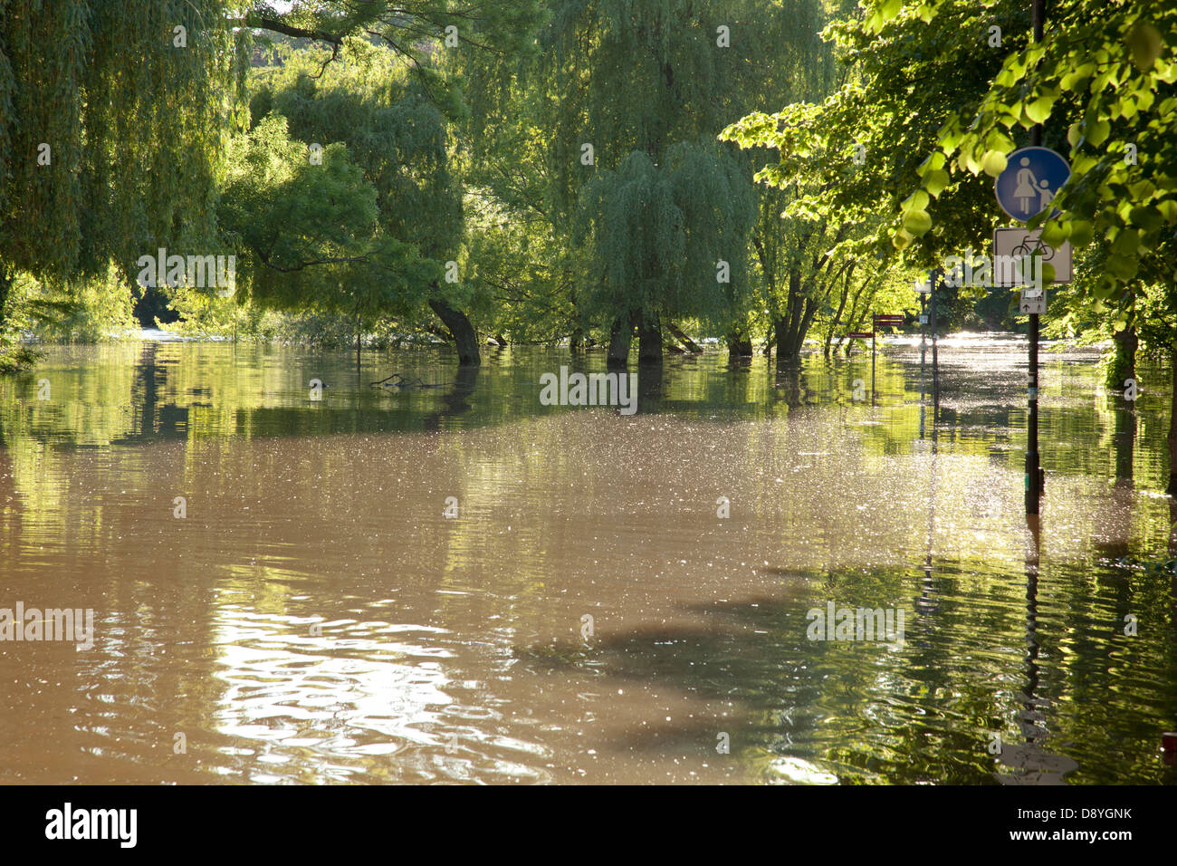 flood of river Saale in Halle, Emil-Eichhorn-Strasse, Germany, 05. June 2013; Hochwasser in Halle (Saale) Stock Photo