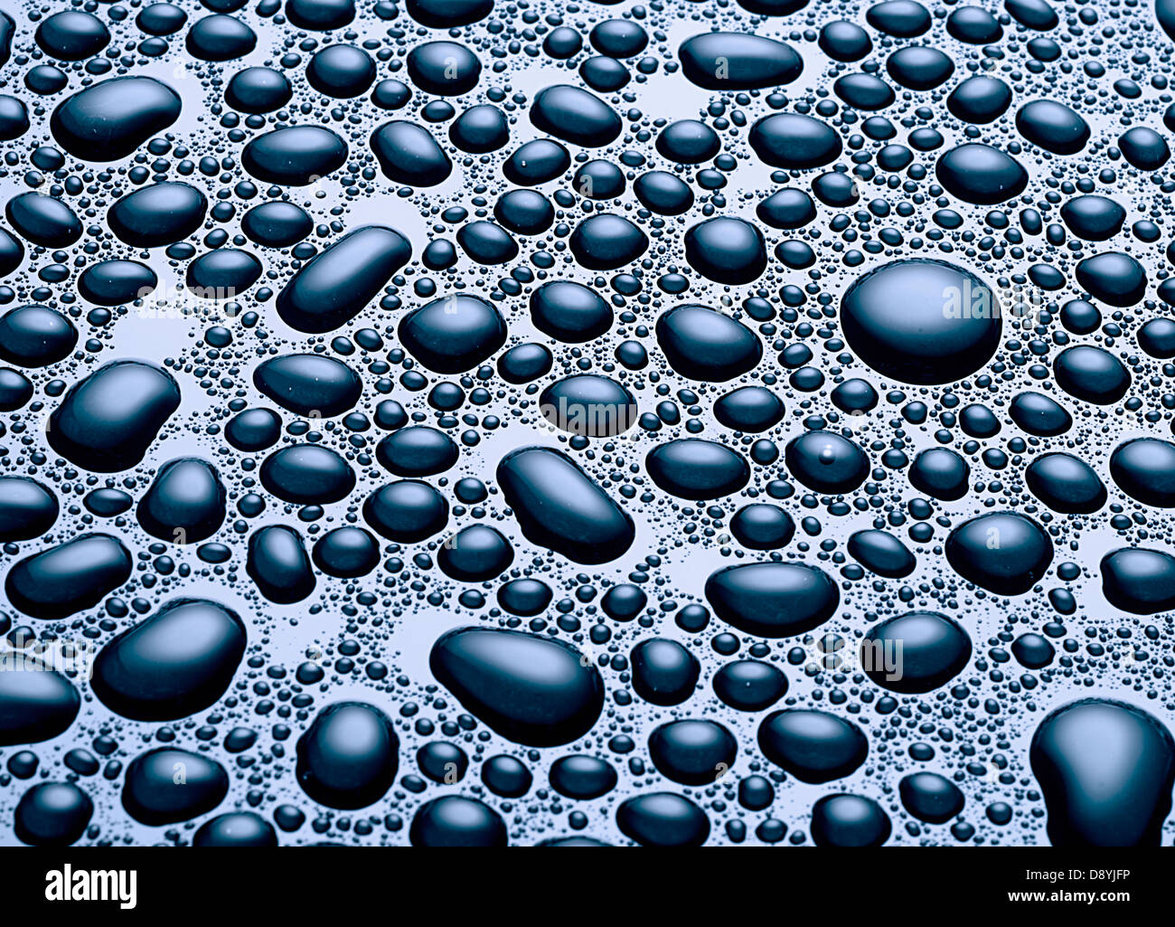 water drops Stock Photo
