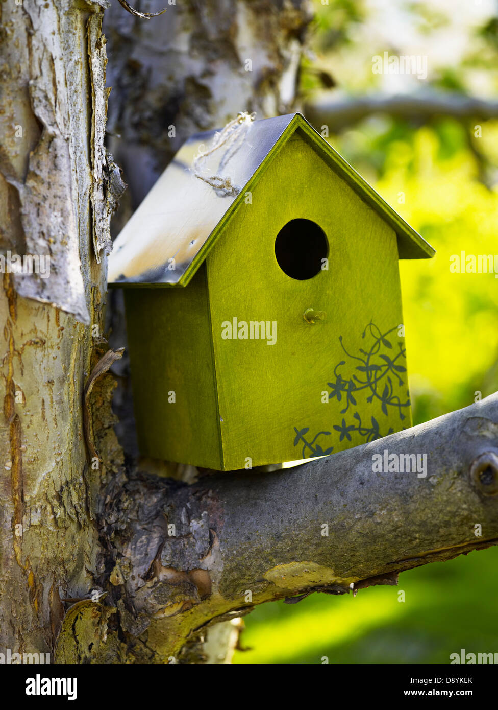 Green birdhouse Stock Photo