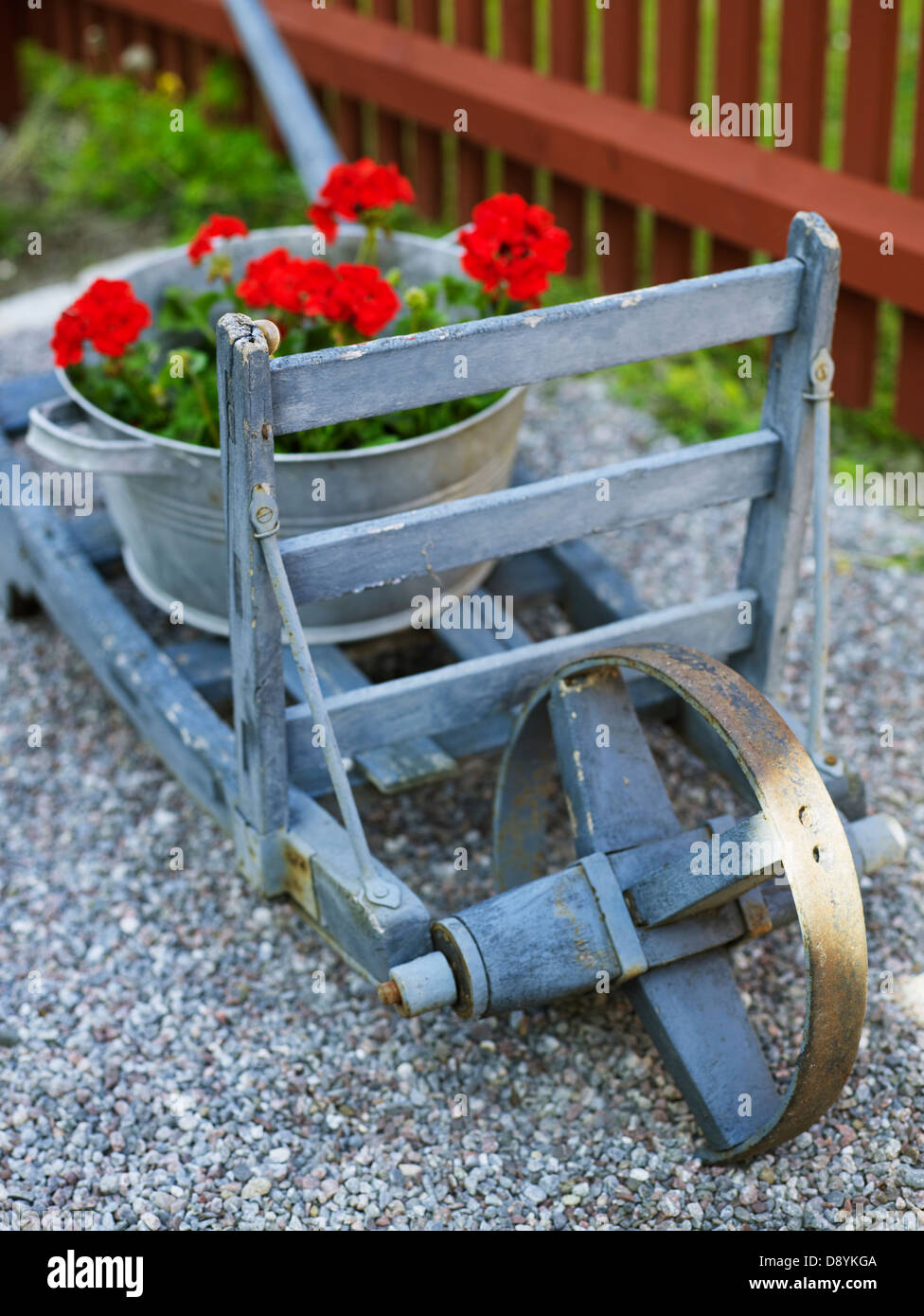 Funny wheelbarrow with flower pot with geranium Stock Photo Alamy
