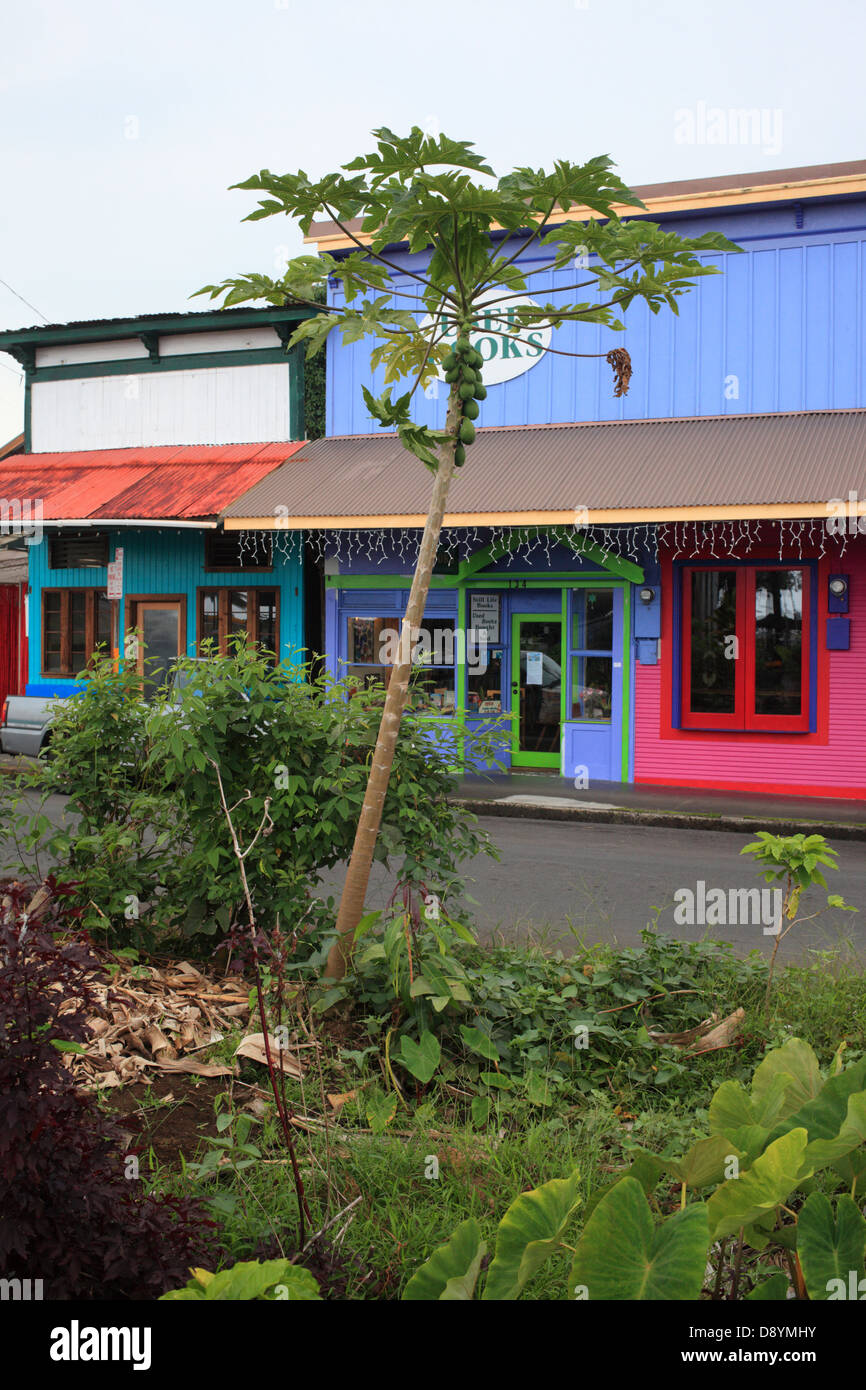 Hilo houses on Hawaii Stock Photo Alamy