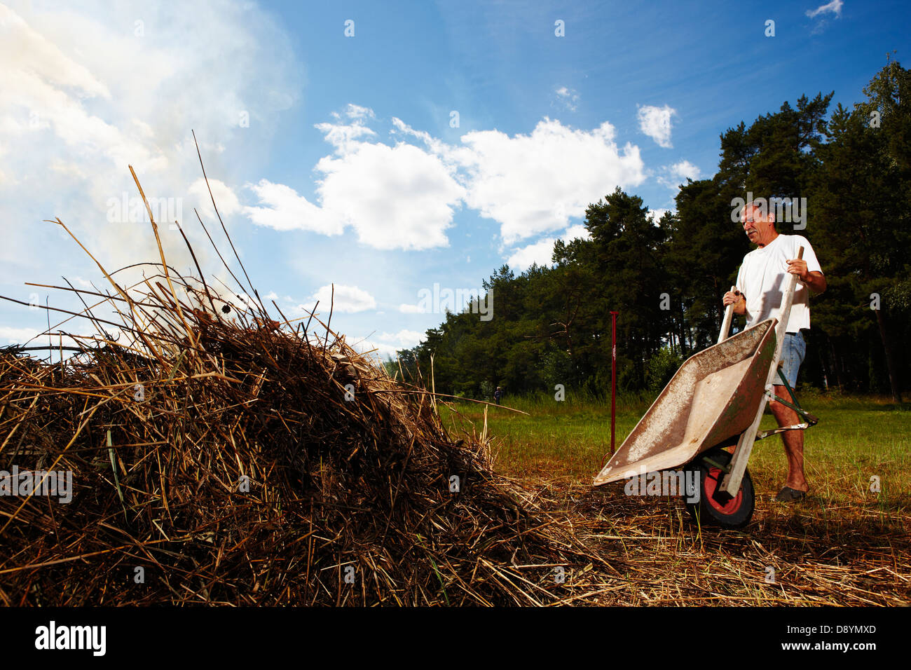 Burning reed hi-res stock photography and images - Alamy