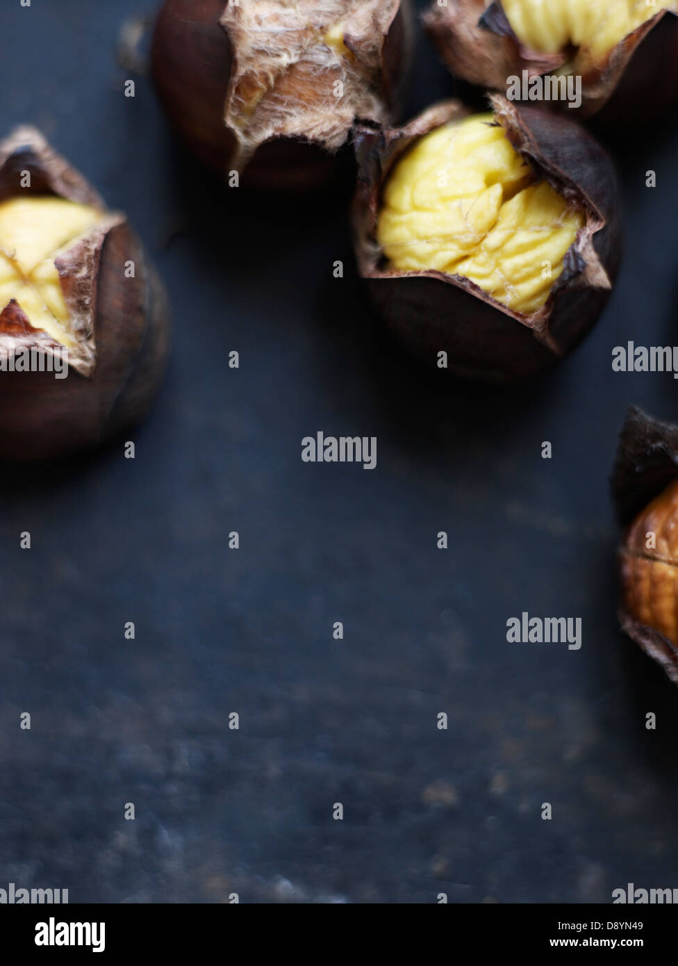 Chestnut on a baking tray Stock Photo
